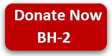 Donate Now - BH2