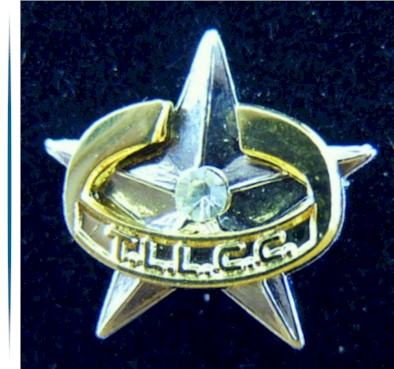 pin